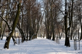zima-park