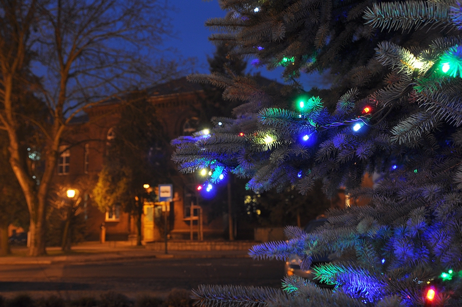 <!--:pl-->Choinka<!--:--><!--:en-->Christmas tree<!--:--><!--:de-->Weinachtsbaum<!--:-->  zdjęcia Grodzisk Wlkp.