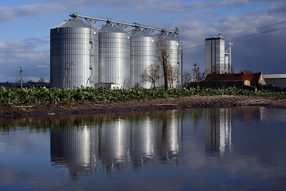 Grodzisk Wlkp. - Pantaleonowo  zdjęcia Grodzisk Wlkp.
